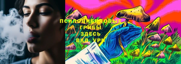 гашик Магадан
