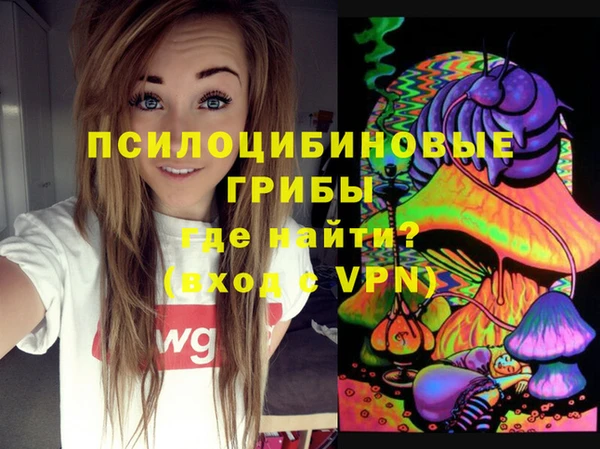 гашик Магадан