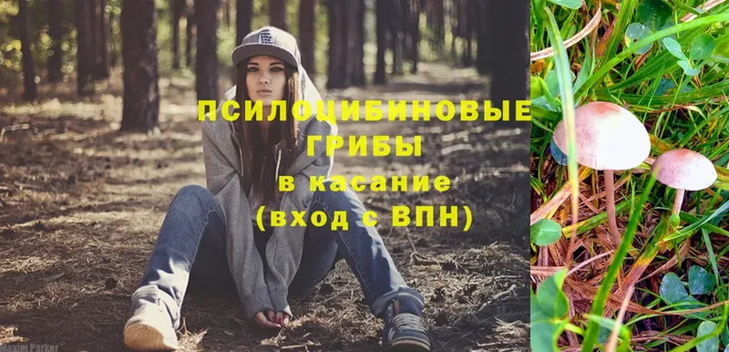 omg ССЫЛКА  Уяр  Галлюциногенные грибы прущие грибы 